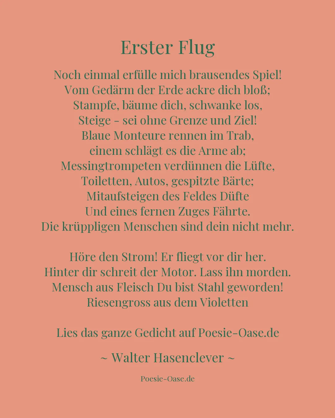 Illustration zu Erster Flug