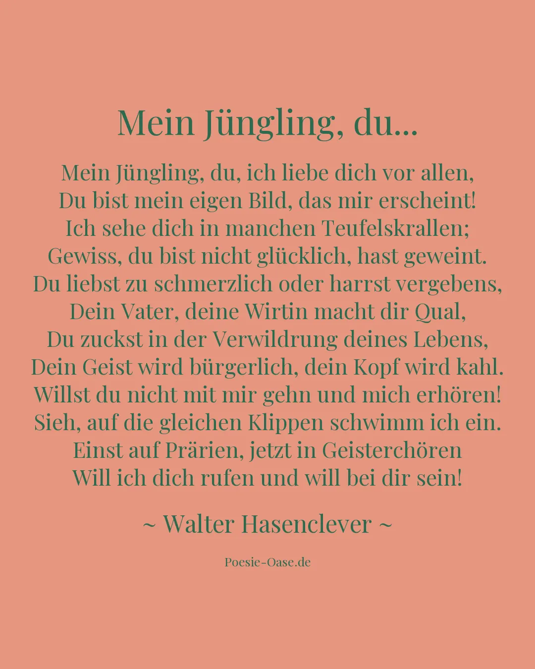 Illustration zu Mein Jüngling, du...