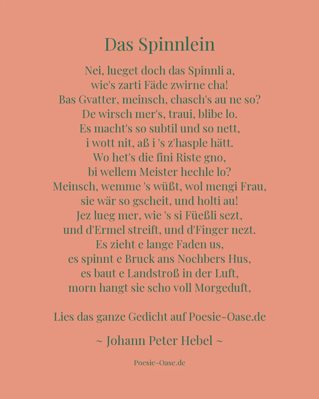 Illustration zu Das Spinnlein