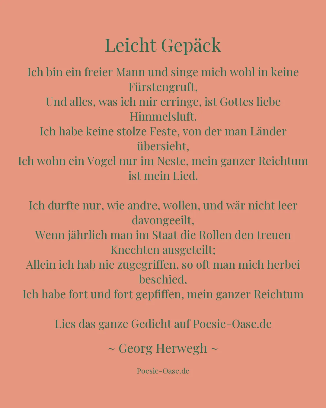 Illustration zu Leicht Gepäck