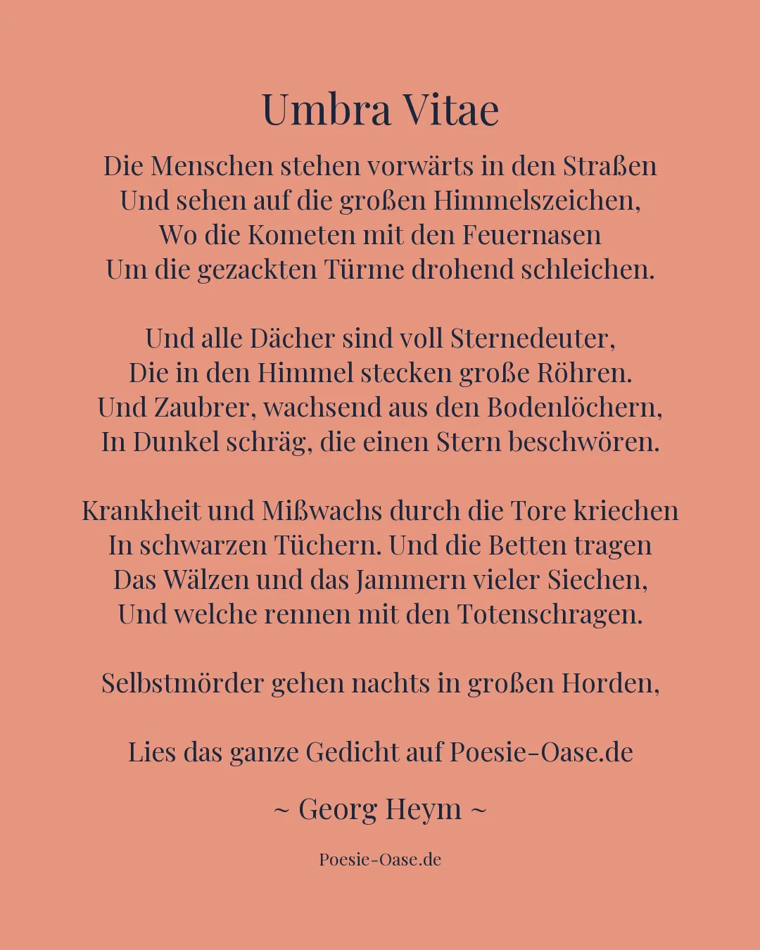 Illustration zu Umbra Vitae