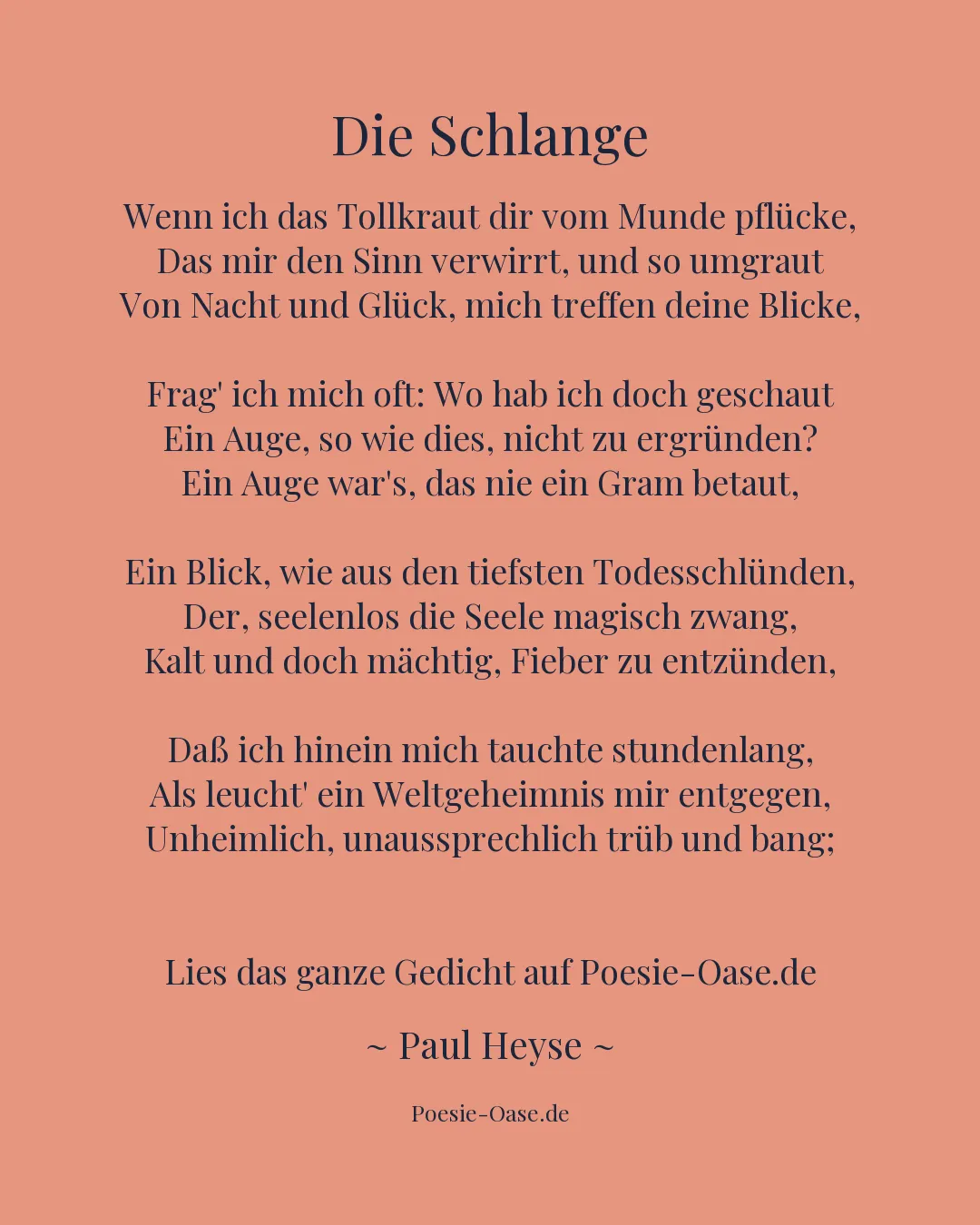 Illustration zu Die Schlange