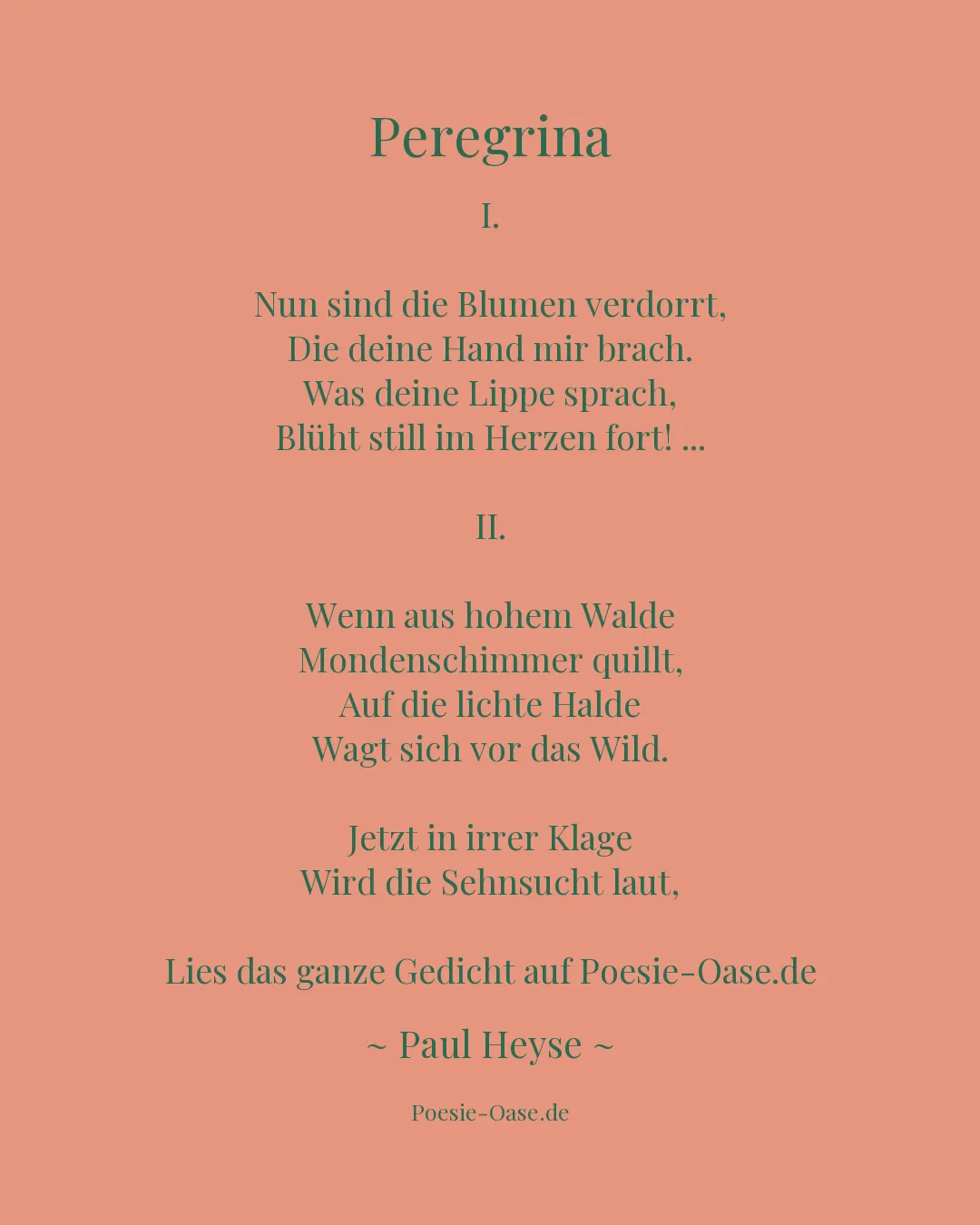 Illustration zu Peregrina