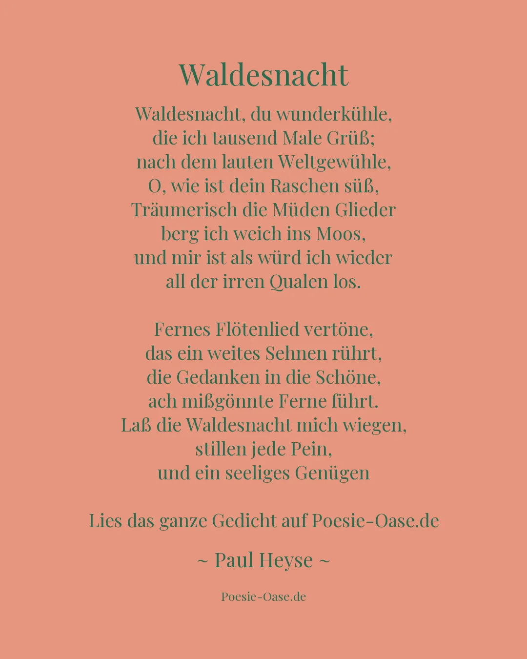Illustration zu Waldesnacht