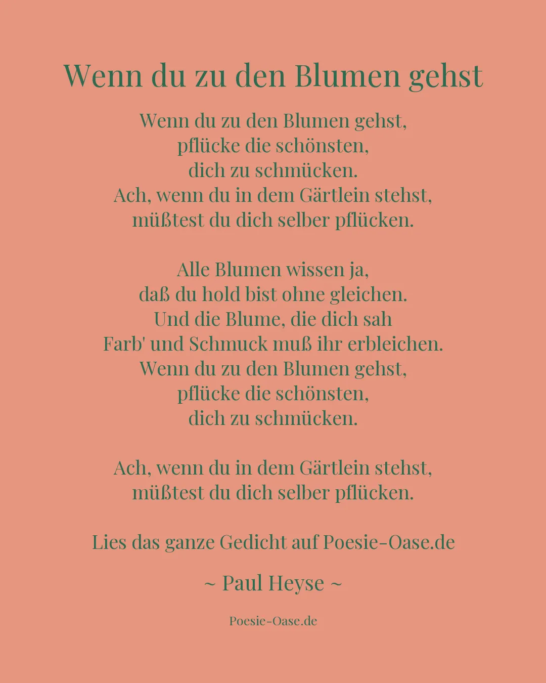 Illustration zu Wenn du zu den Blumen gehst