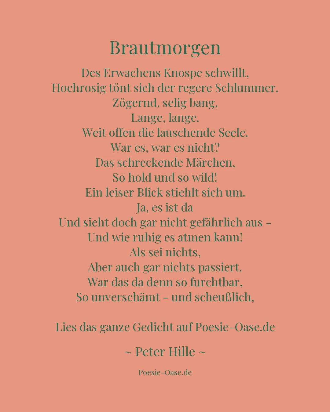 Illustration zu Brautmorgen