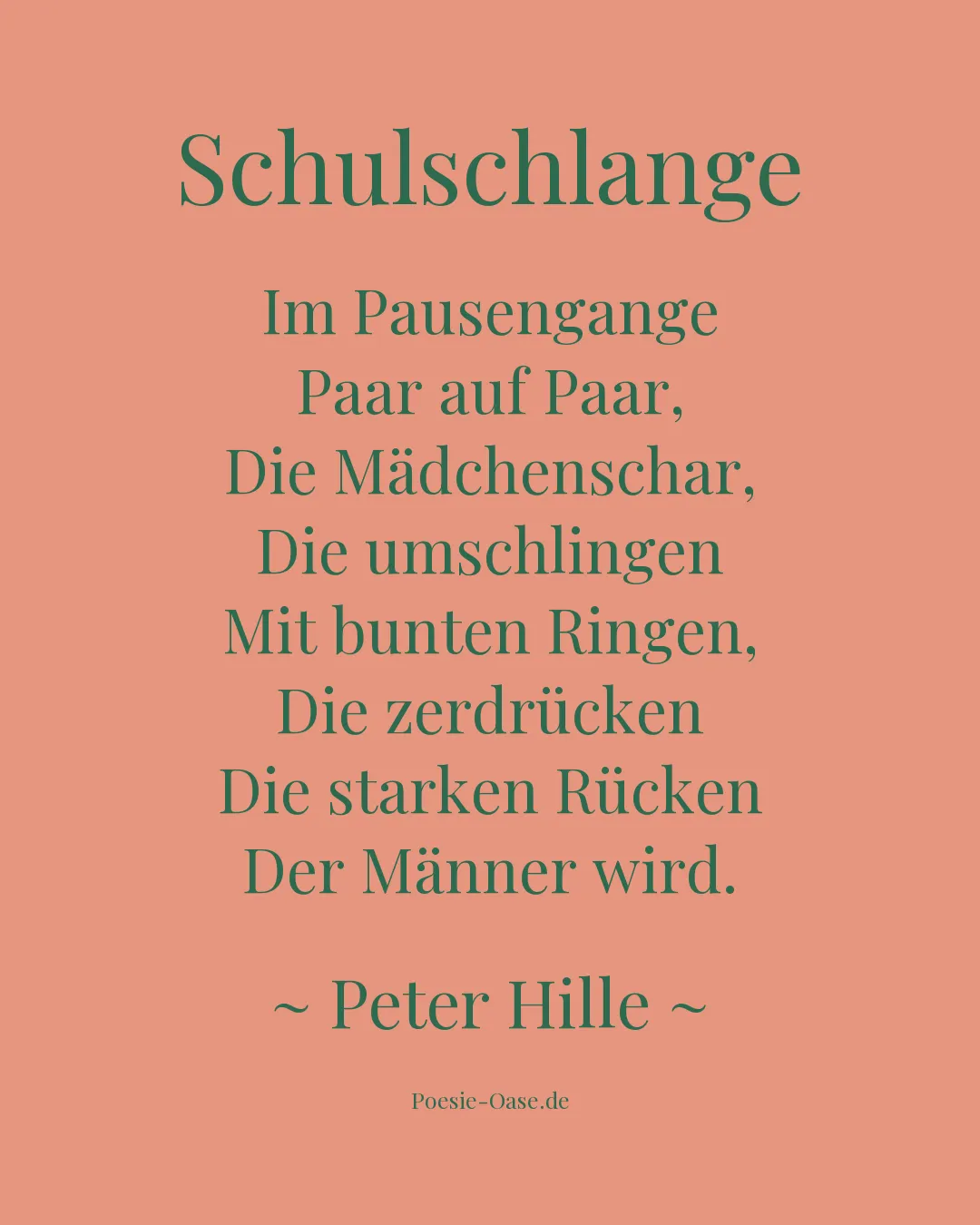 Illustration zu Schulschlange