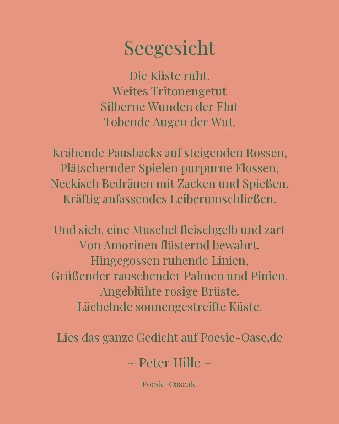 Illustration zu Seegesicht
