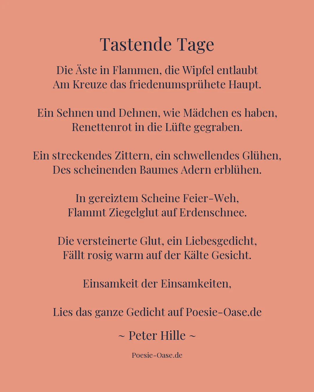 Illustration zu Tastende Tage