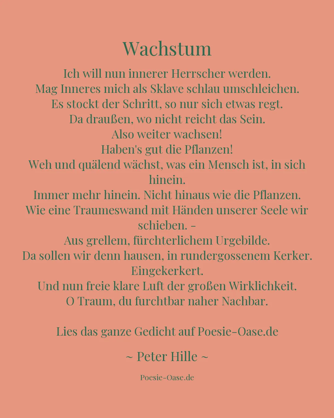Illustration zu Wachstum