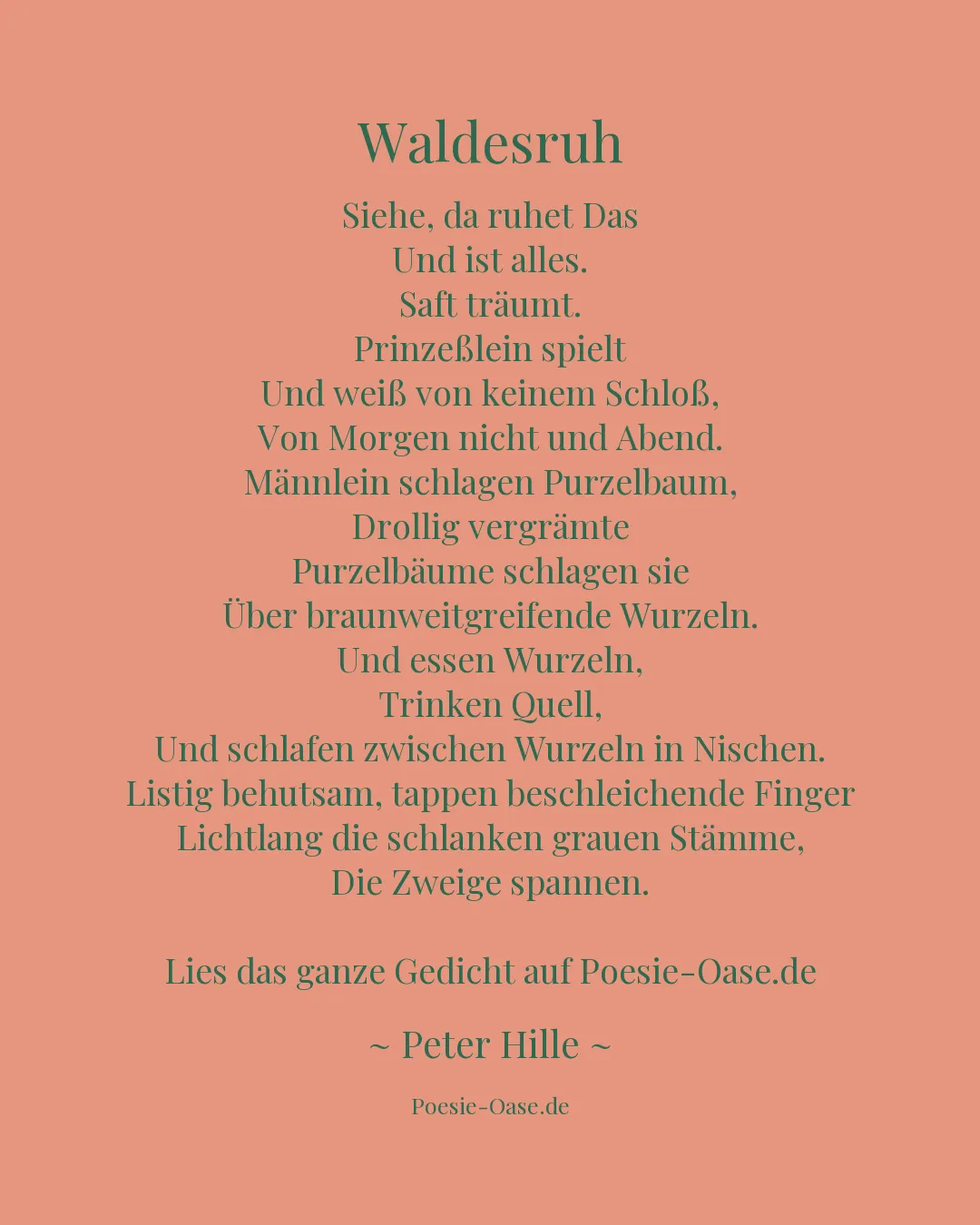 Illustration zu Waldesruh