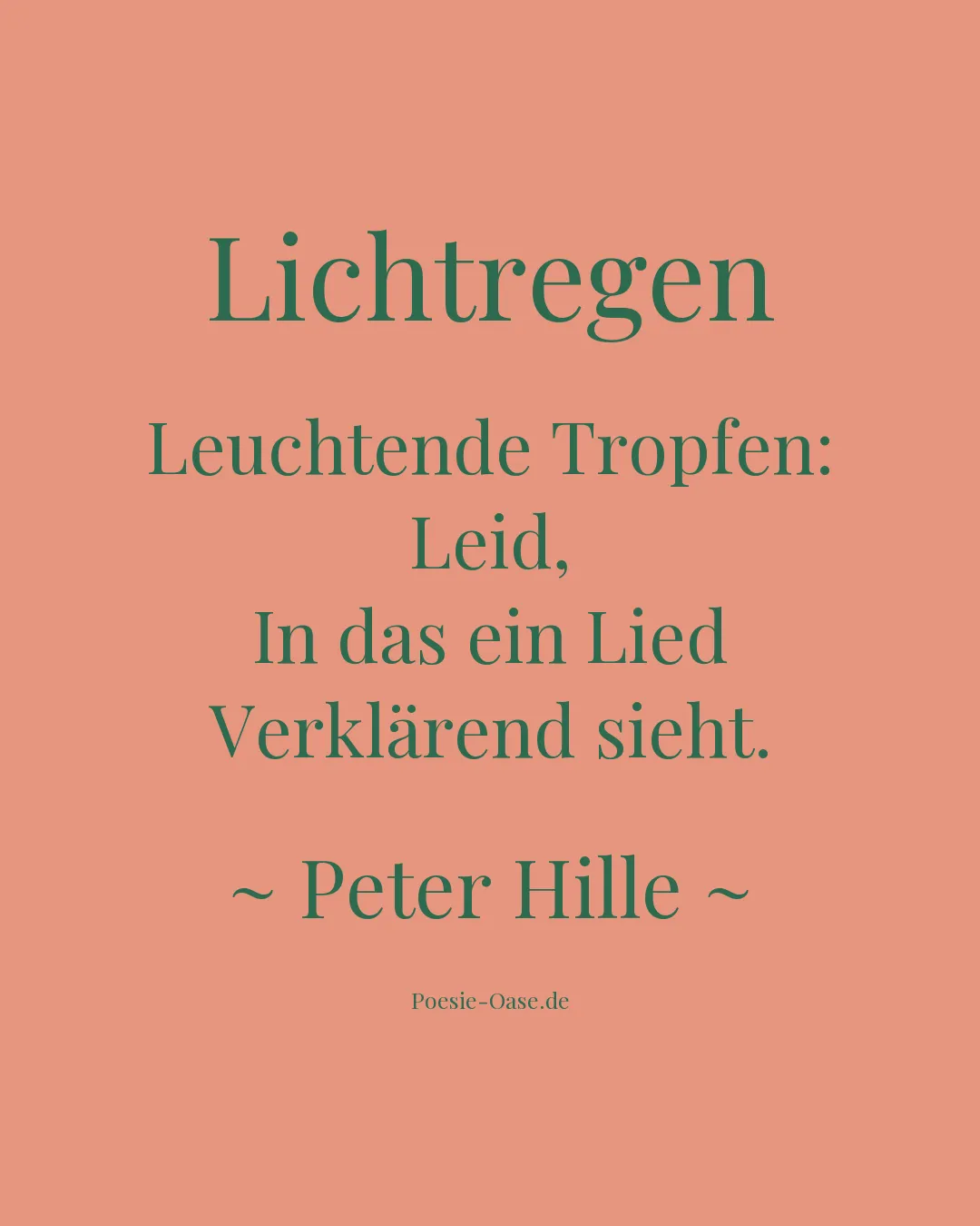 Illustration zu Lichtregen