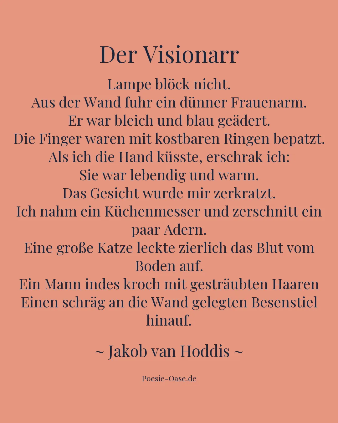 Illustration zu Der Visionarr