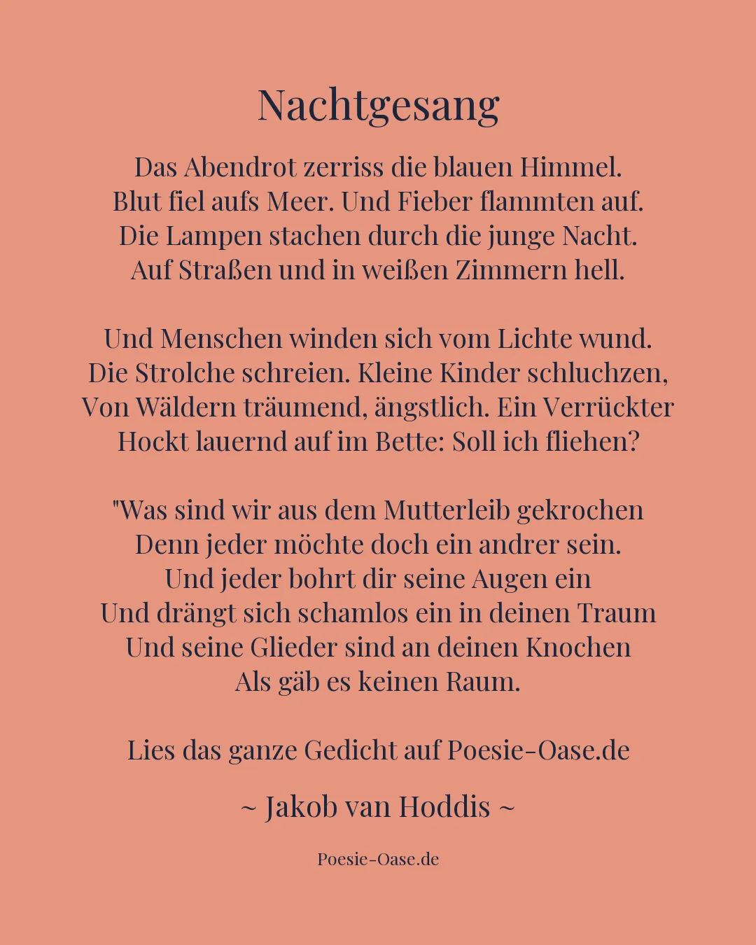 Illustration zu Nachtgesang