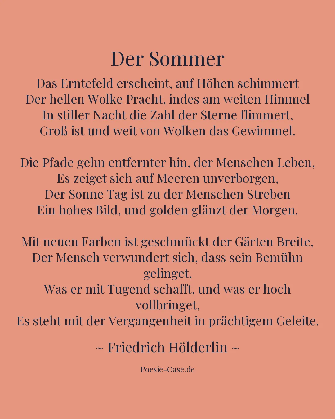 Illustration zu Der Sommer
