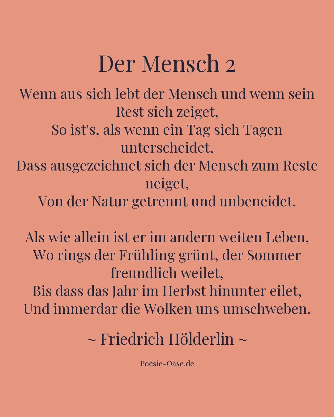 Illustration zu Der Mensch 2