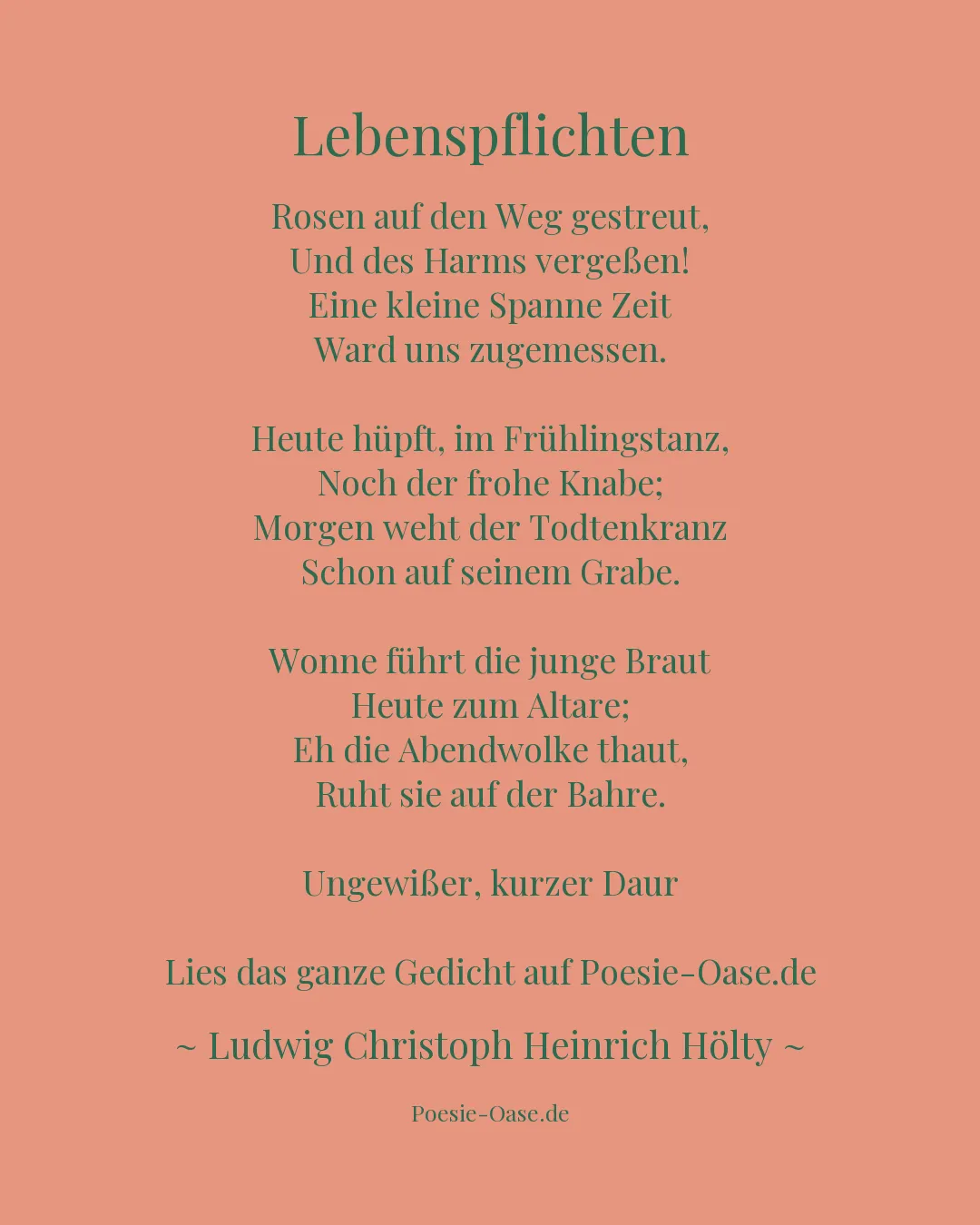 Illustration zu Lebenspflichten