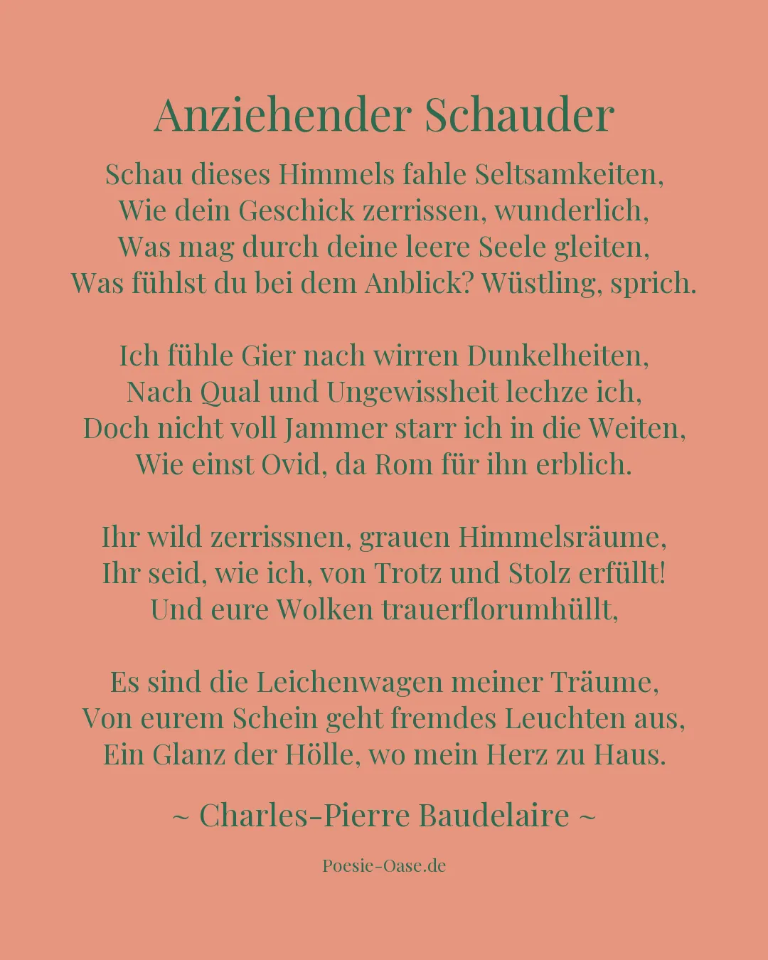 Illustration zu Anziehender Schauder