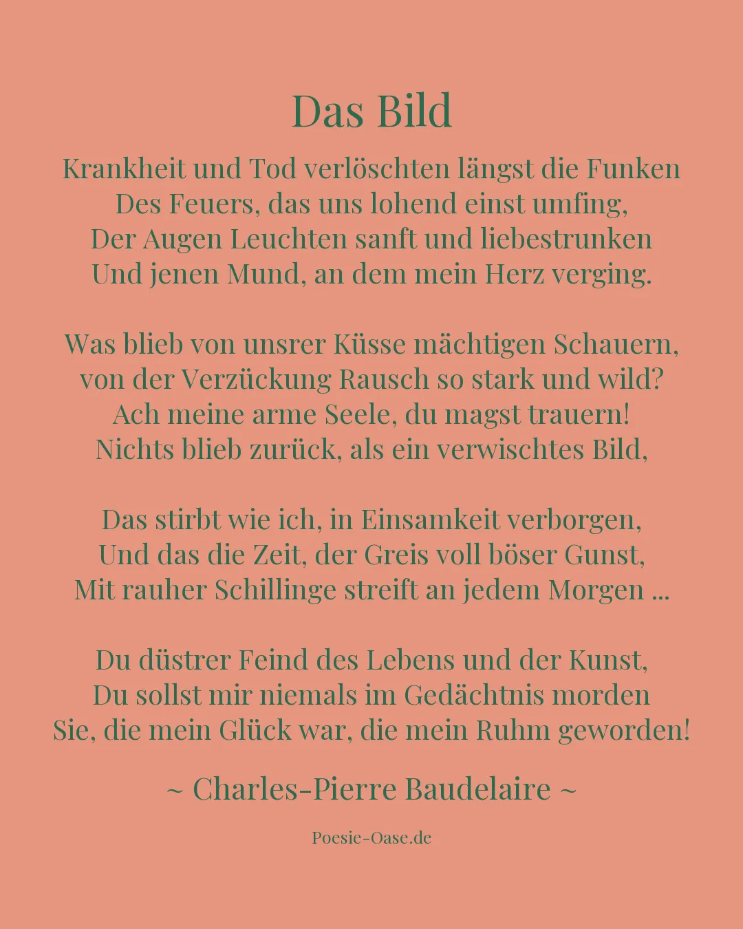 Illustration zu Das Bild