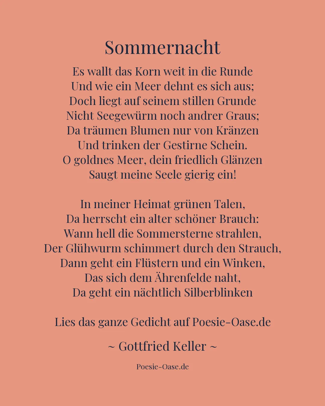 Illustration zu Sommernacht