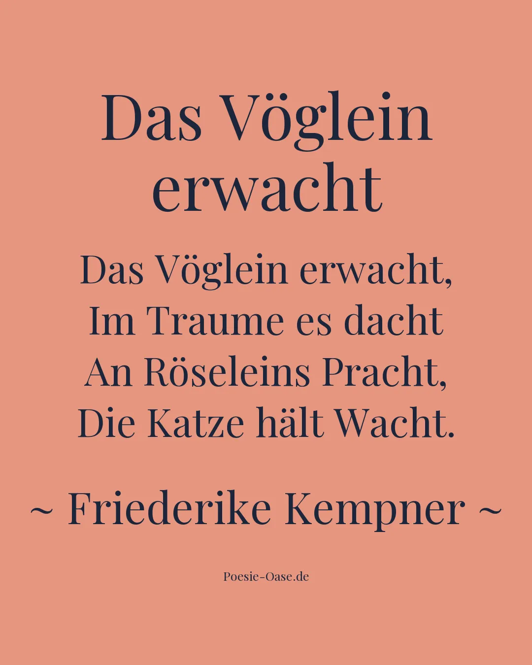 Illustration zu Das Vöglein erwacht