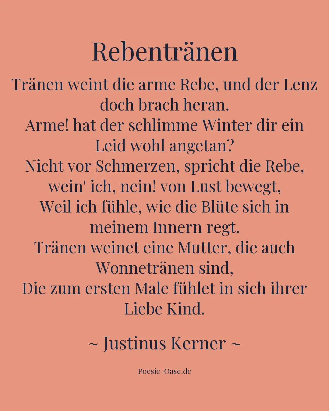 Illustration zu Rebentränen
