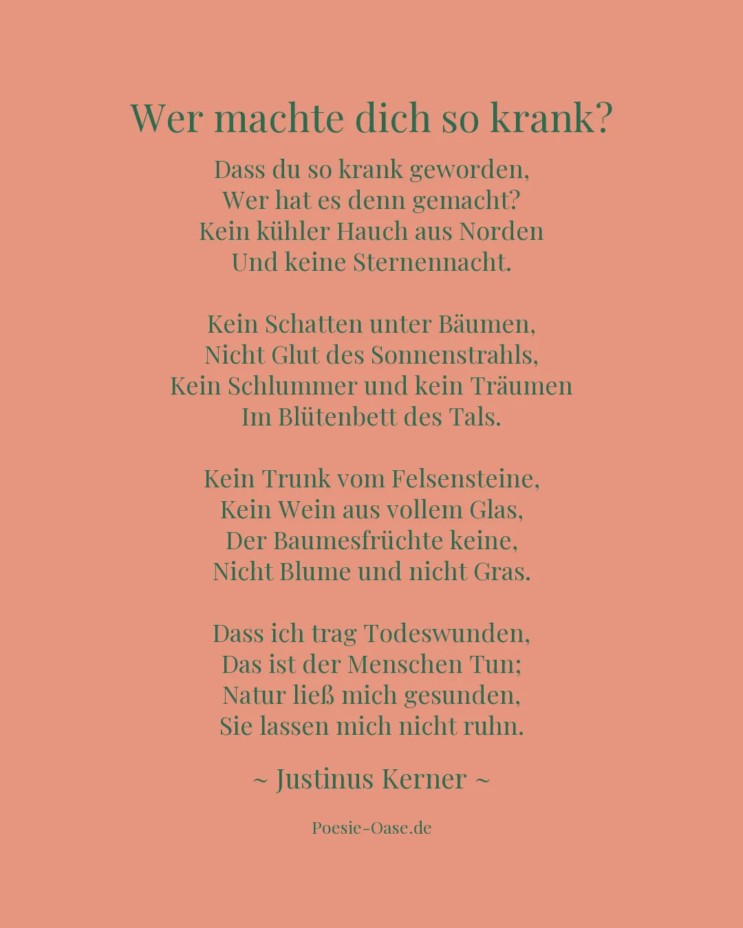 Illustration zu Wer machte dich so krank?