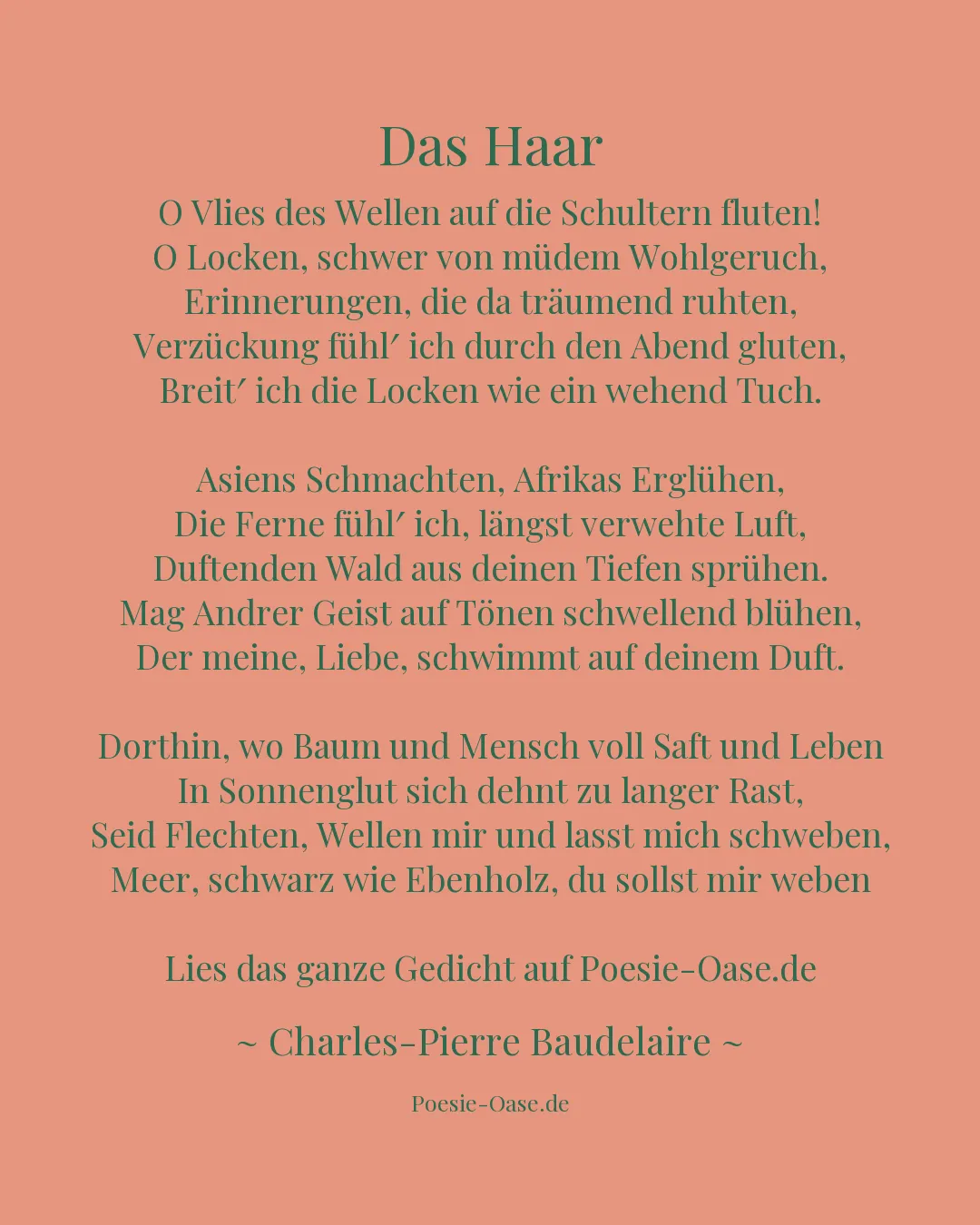 Illustration zu Das Haar