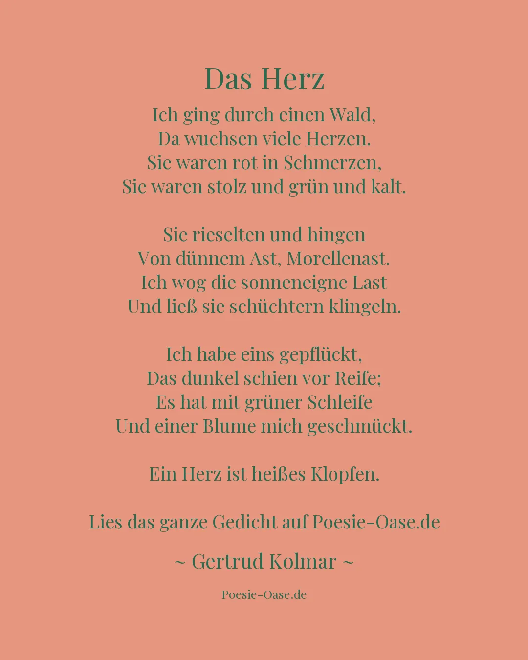 Illustration zu Das Herz