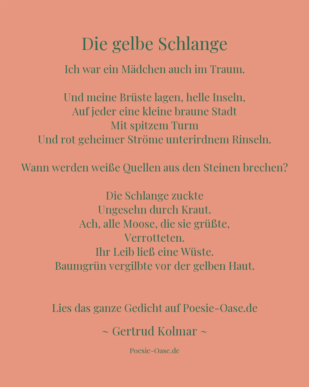 Illustration zu Die gelbe Schlange