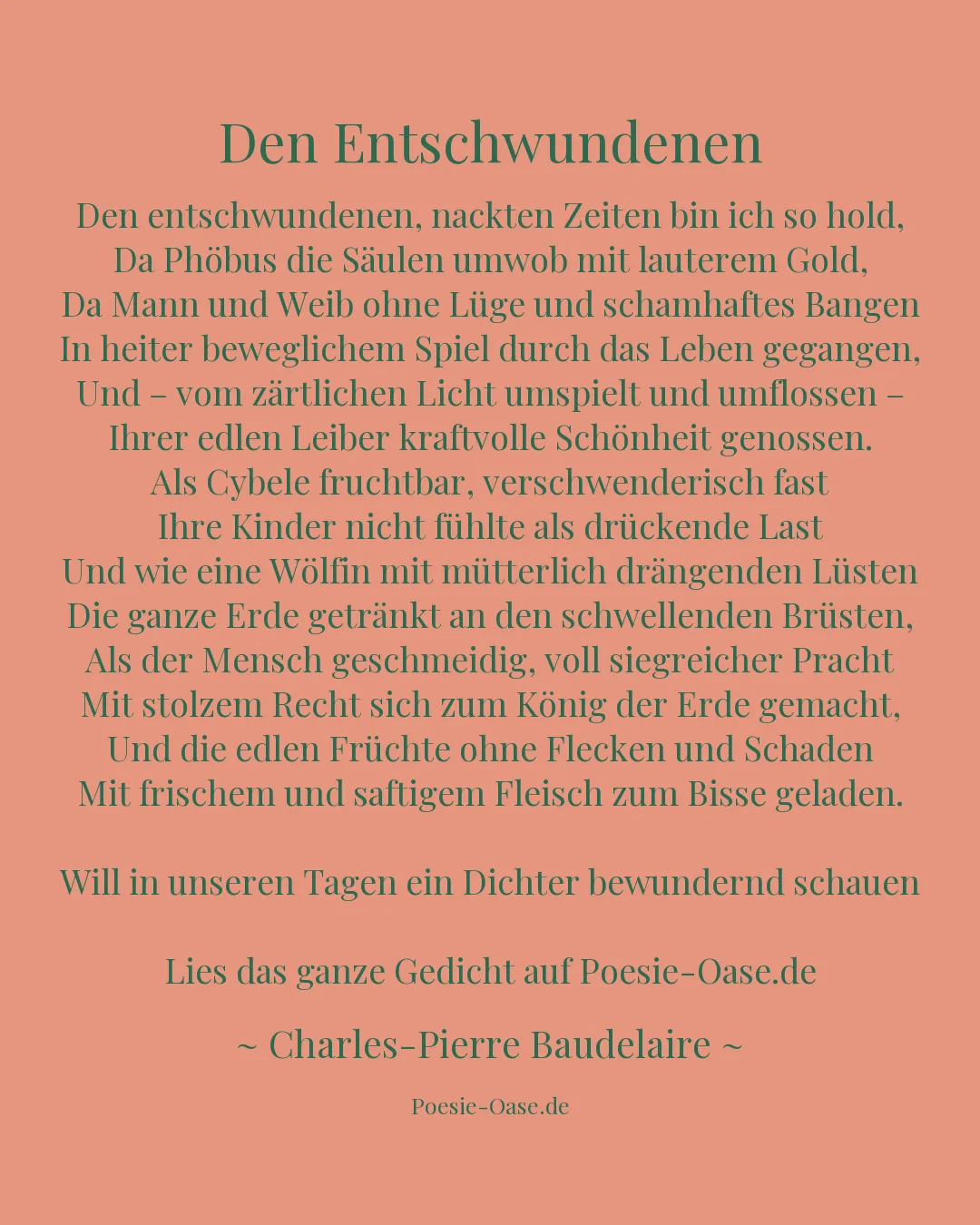 Illustration zu Den Entschwundenen