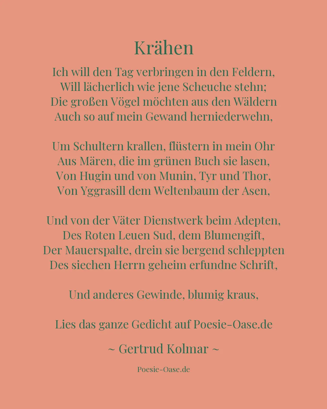 Illustration zu Krähen