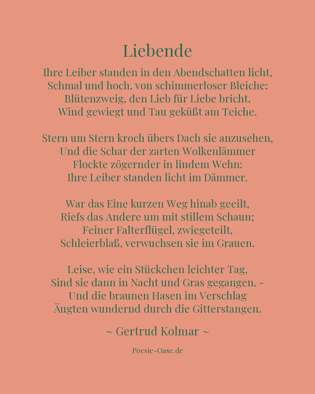 Illustration zu Liebende