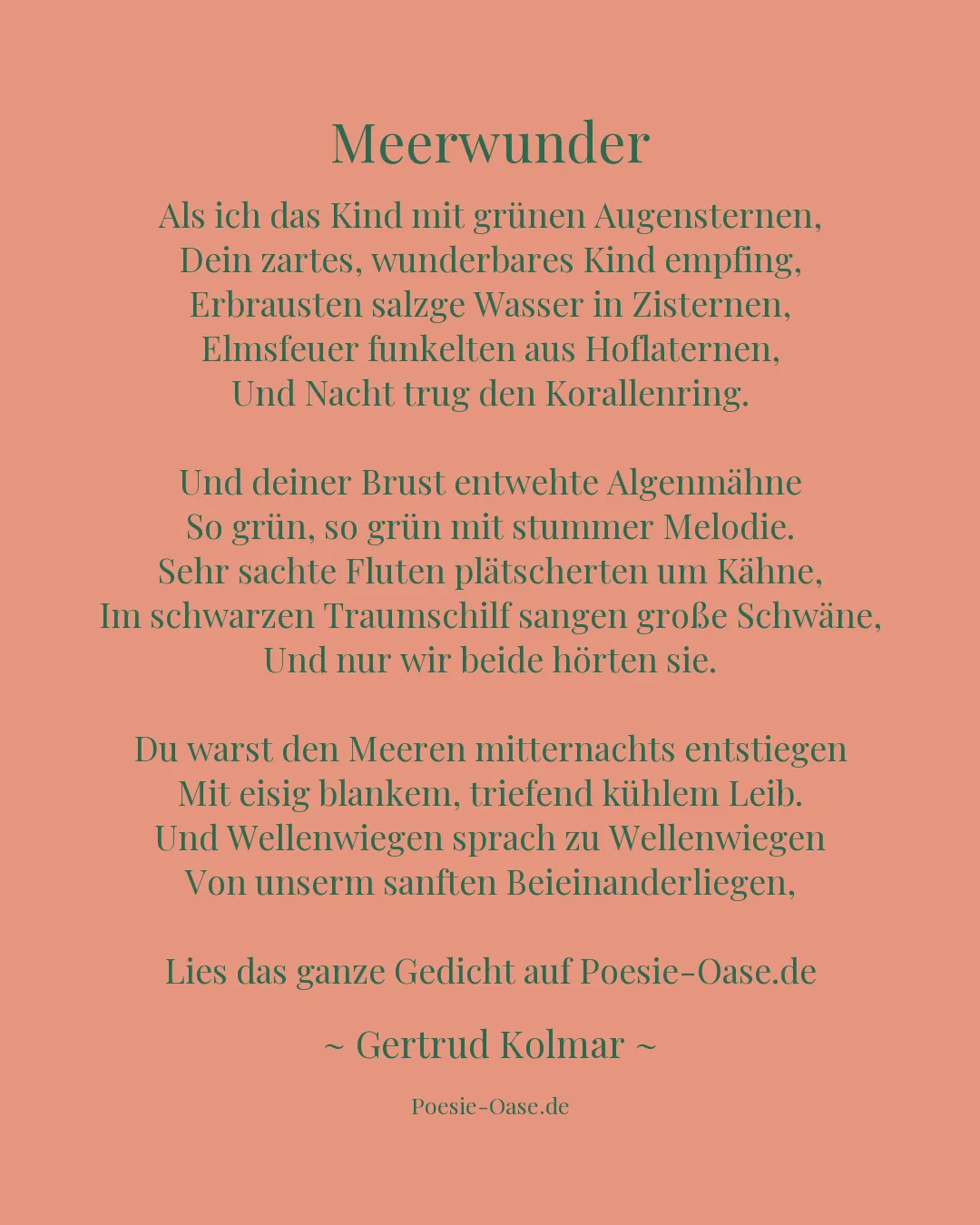 Illustration zu Meerwunder