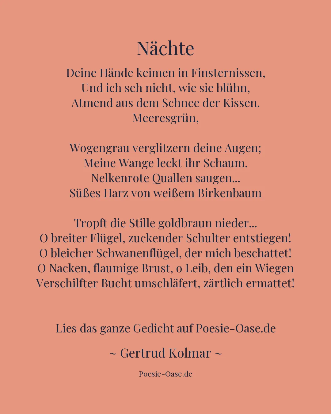 Illustration zu Nächte