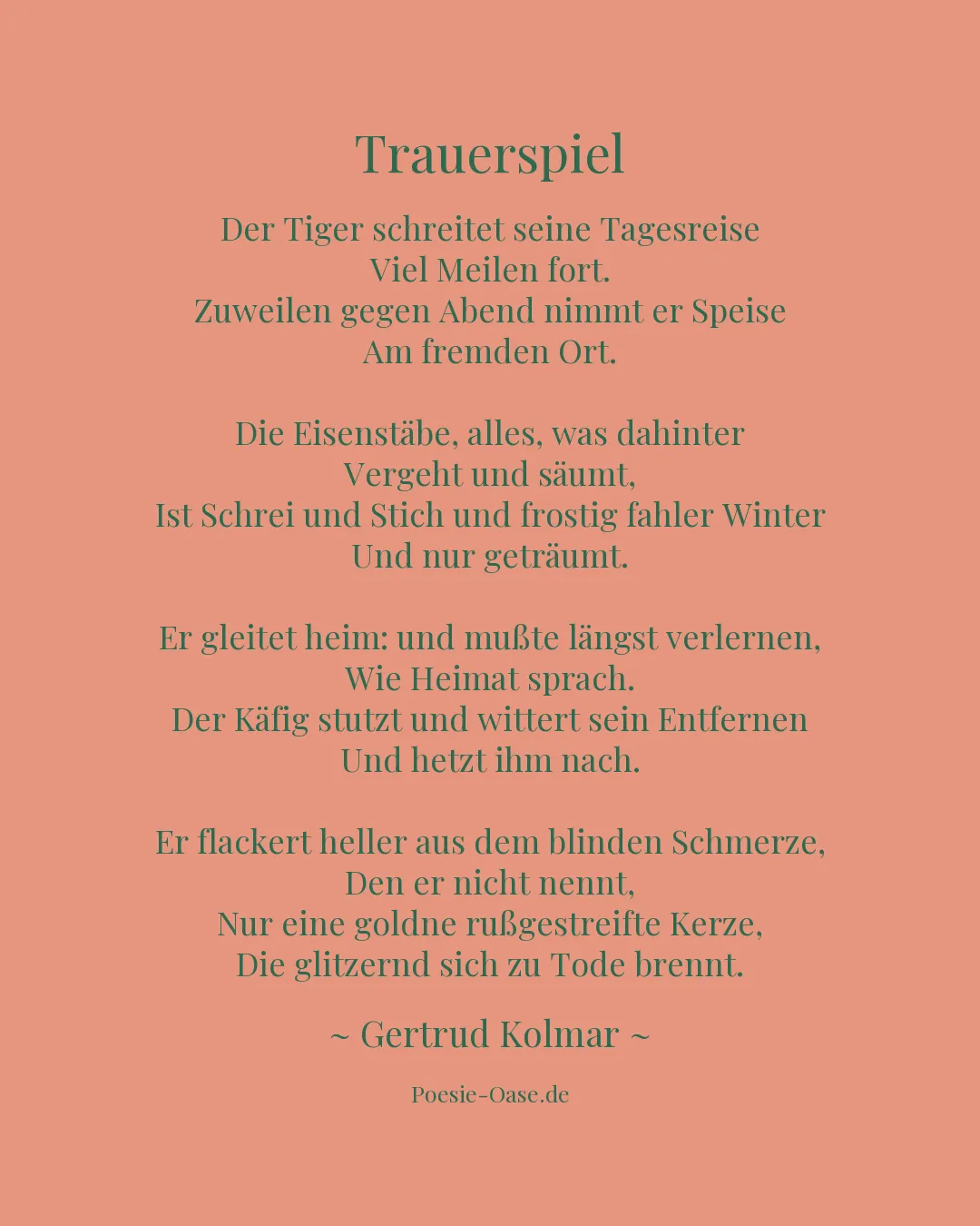 Illustration zu Trauerspiel