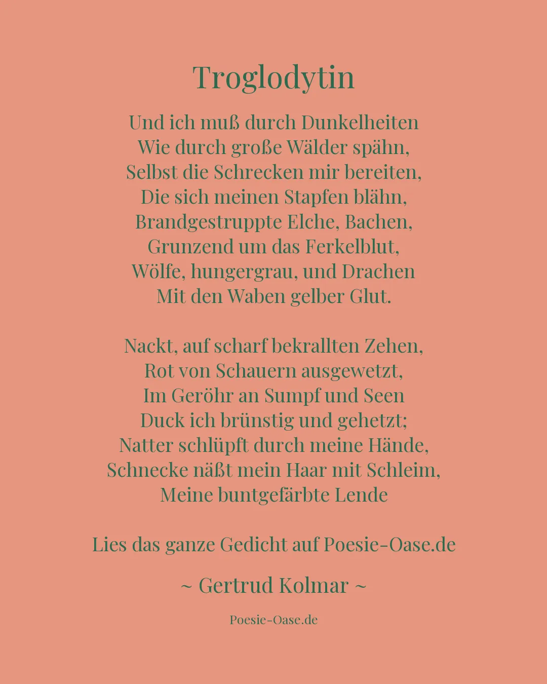 Illustration zu Troglodytin
