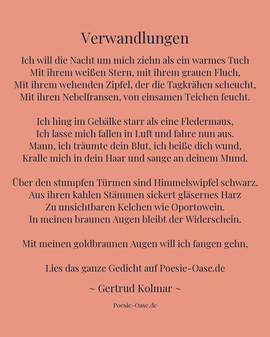 Illustration zu Verwandlungen