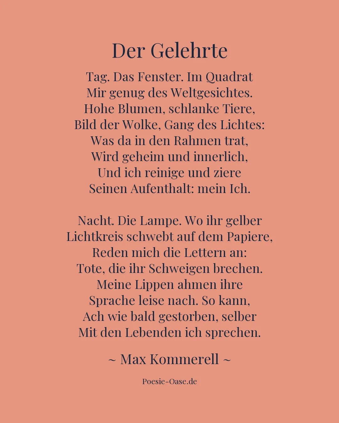 Illustration zu Der Gelehrte