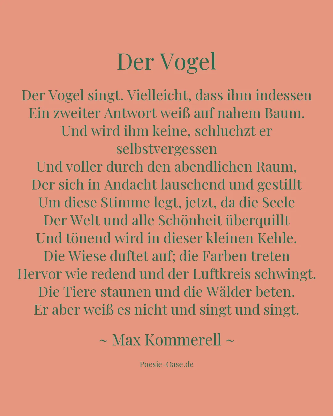 Illustration zu Der Vogel