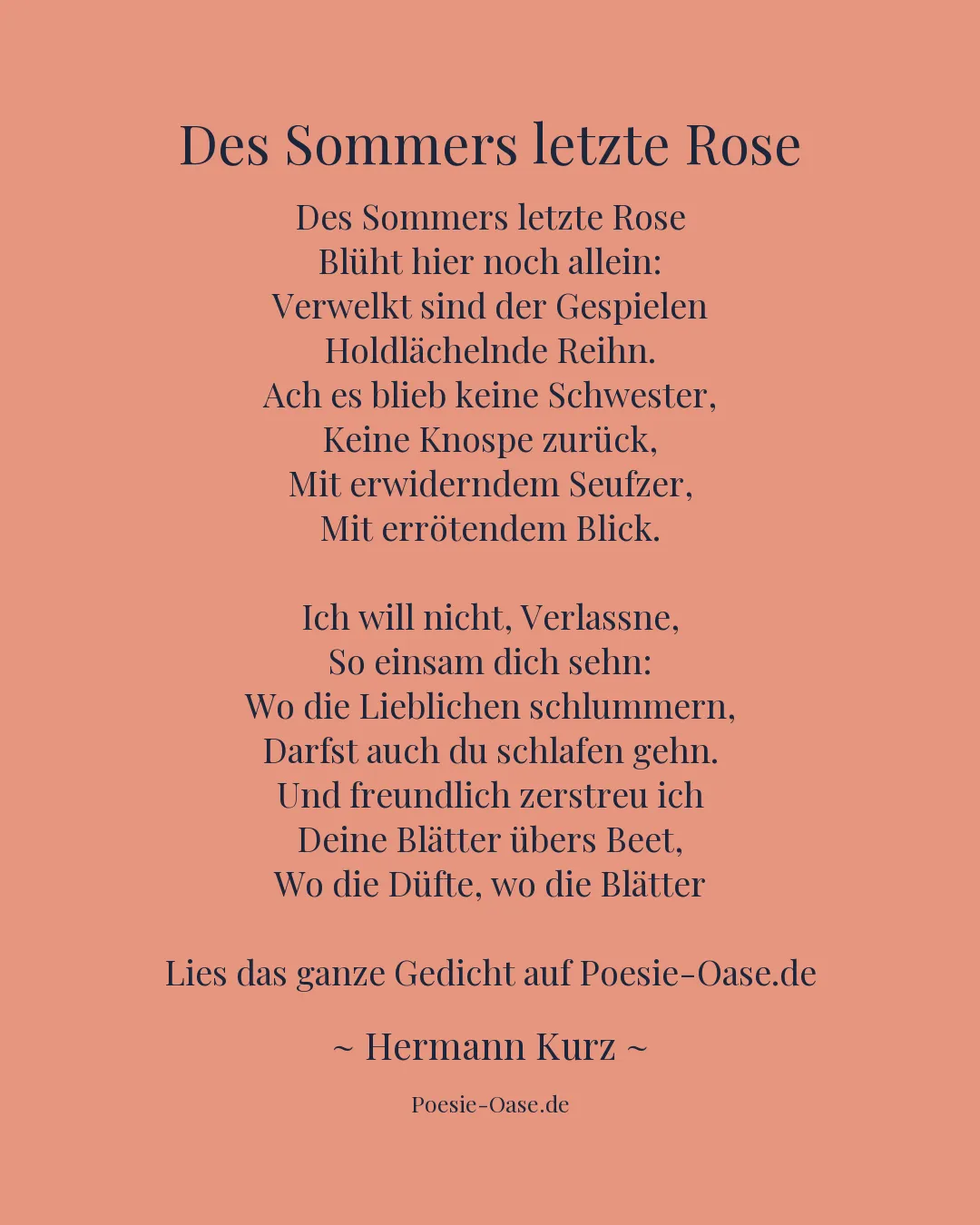 Illustration zu Des Sommers letzte Rose