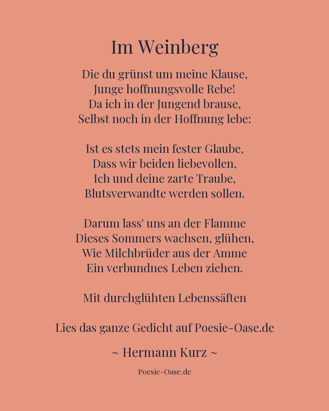 Illustration zu Im Weinberg