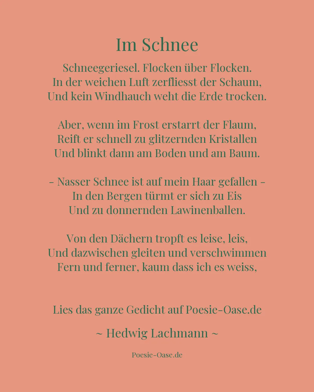 Illustration zu Im Schnee