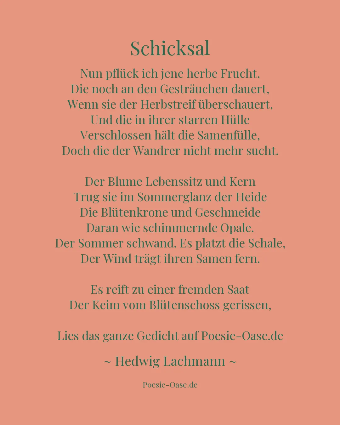 Illustration zu Schicksal