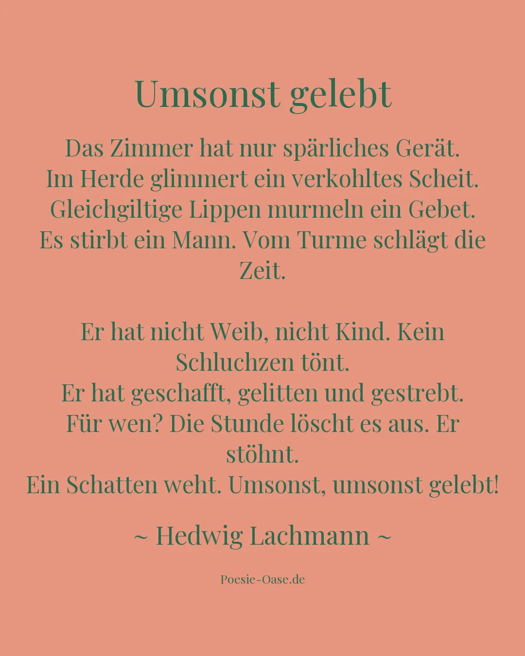 Illustration zu Umsonst gelebt