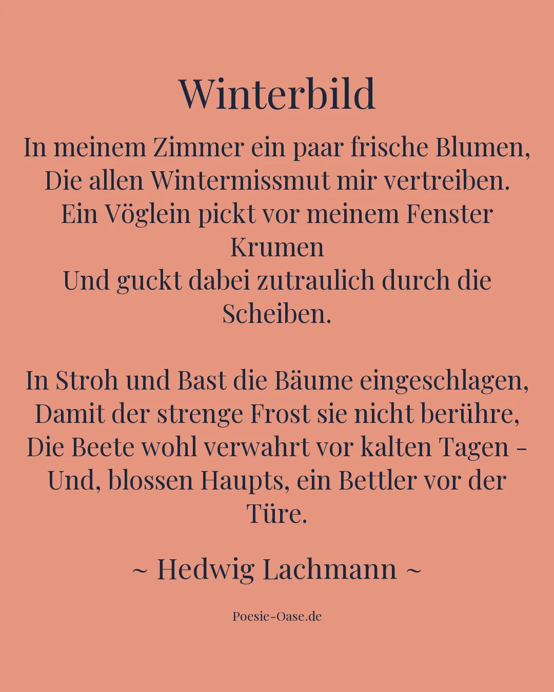 Illustration zu Winterbild