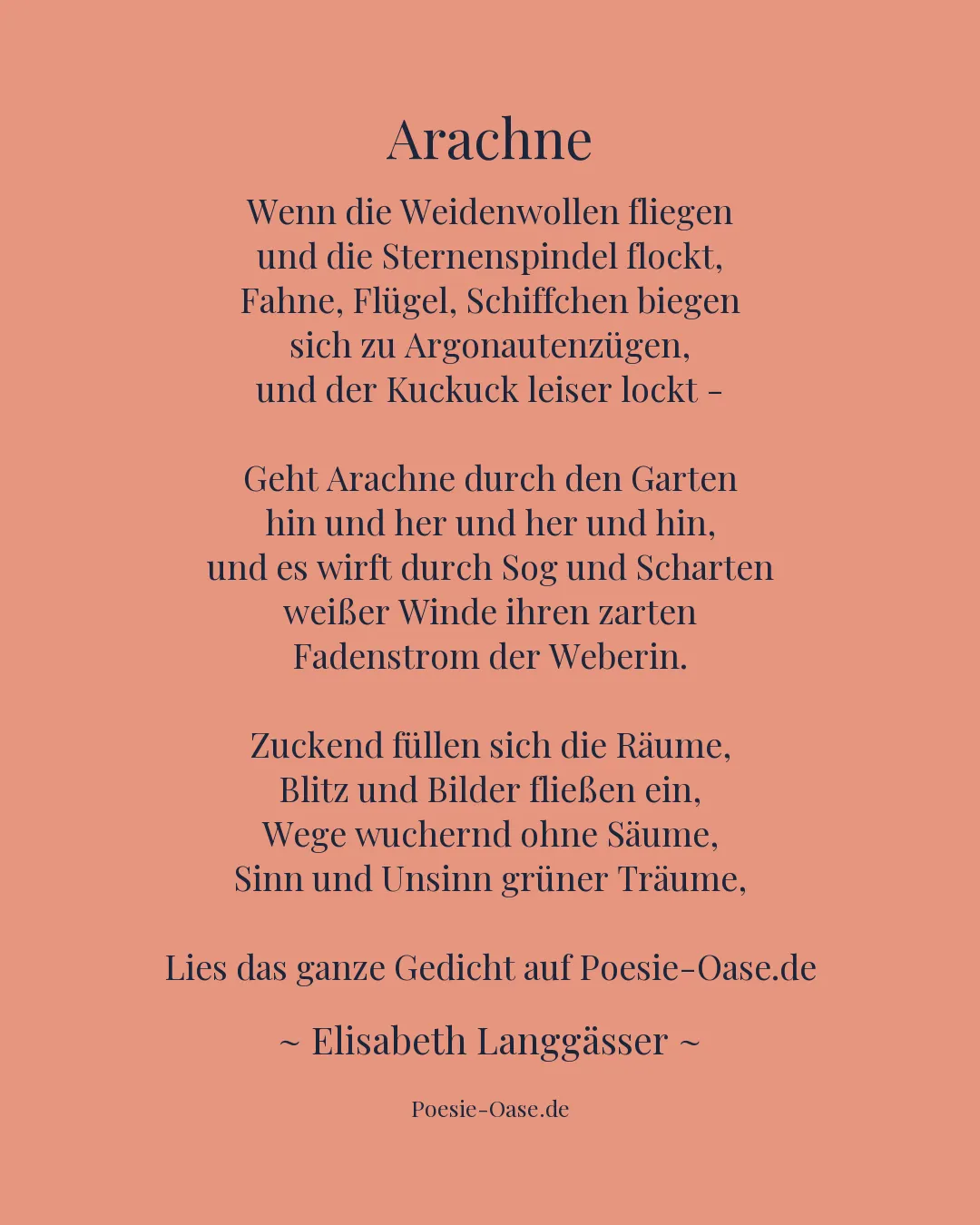 Illustration zu Arachne