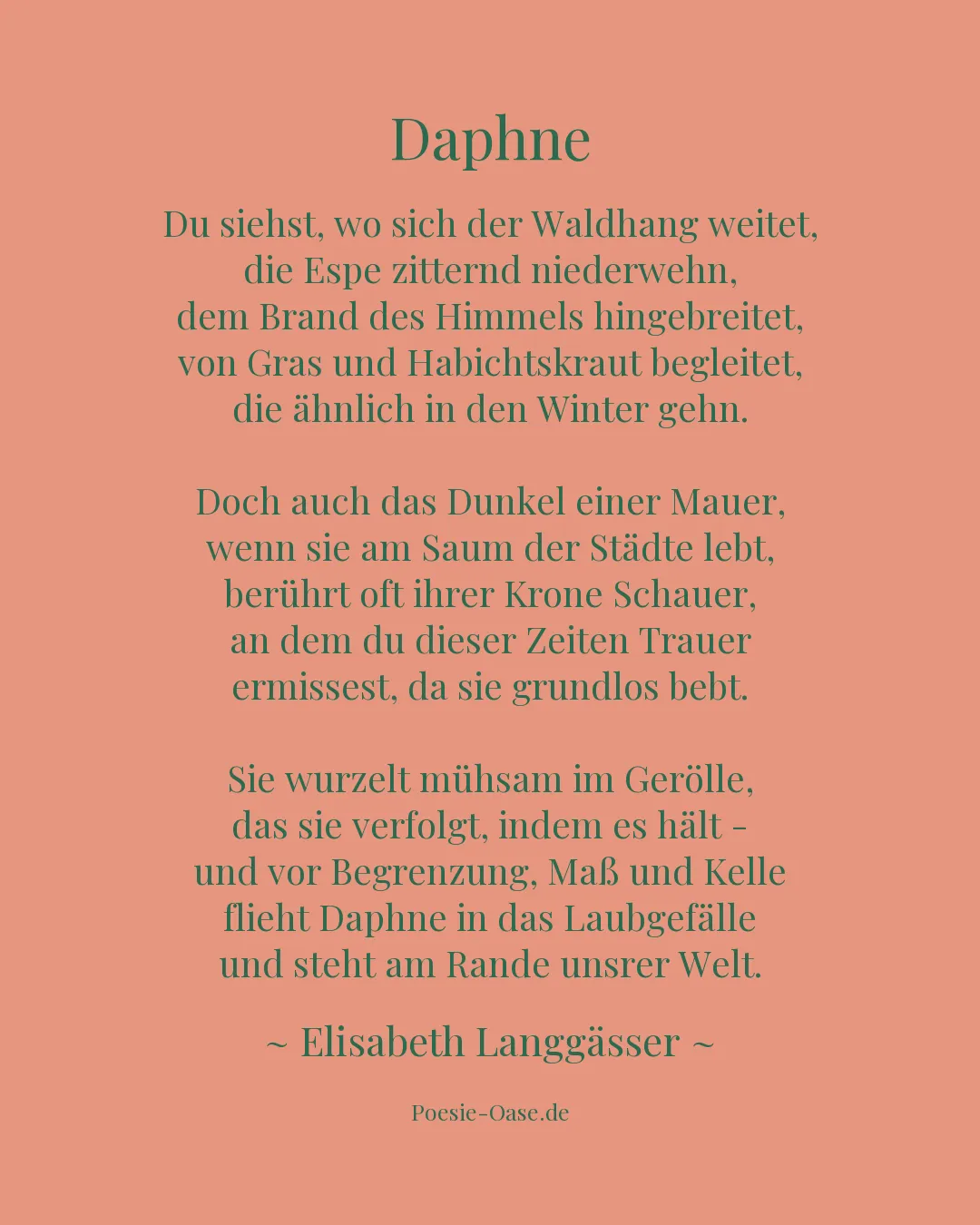 Illustration zu Daphne