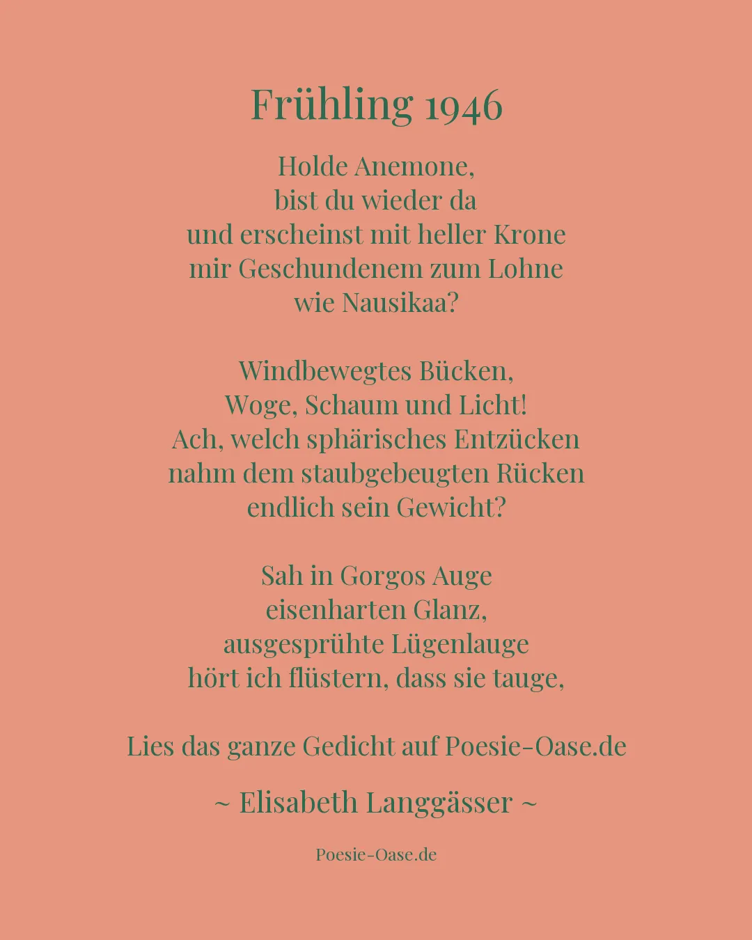 Illustration zu Frühling 1946