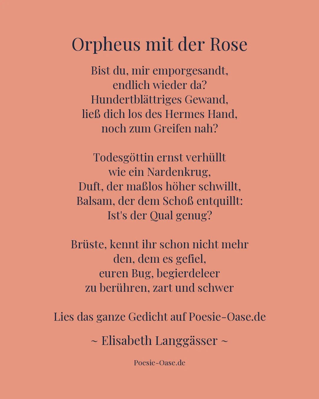 Illustration zu Orpheus mit der Rose